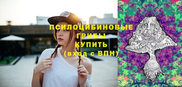 таблы Новодвинск