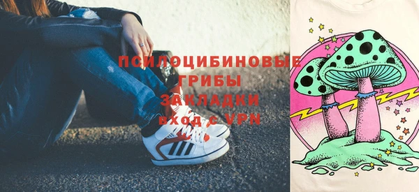 таблы Новодвинск