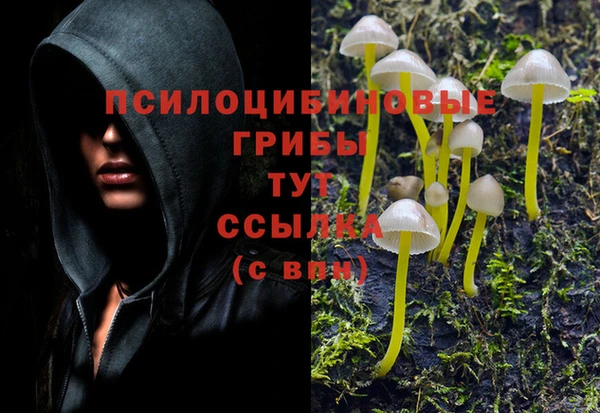 амфетамин Новокубанск