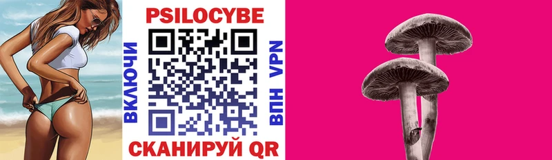 даркнет состав  Подольск  Псилоцибиновые грибы прущие грибы  где продают  
