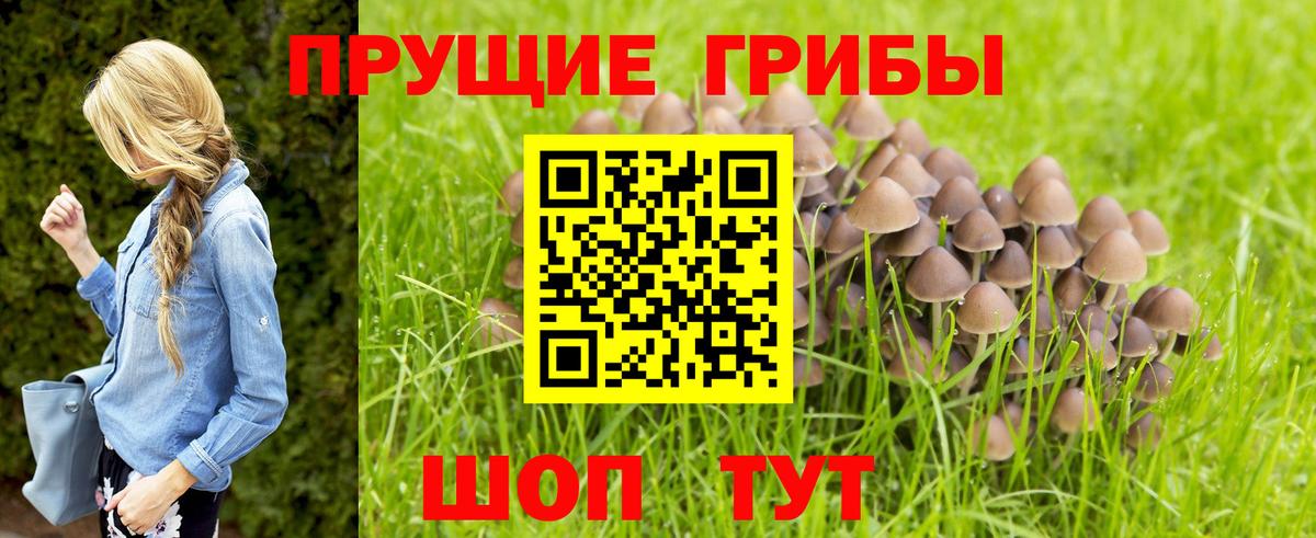 Псилоцибиновые грибы прущие грибы Подольск