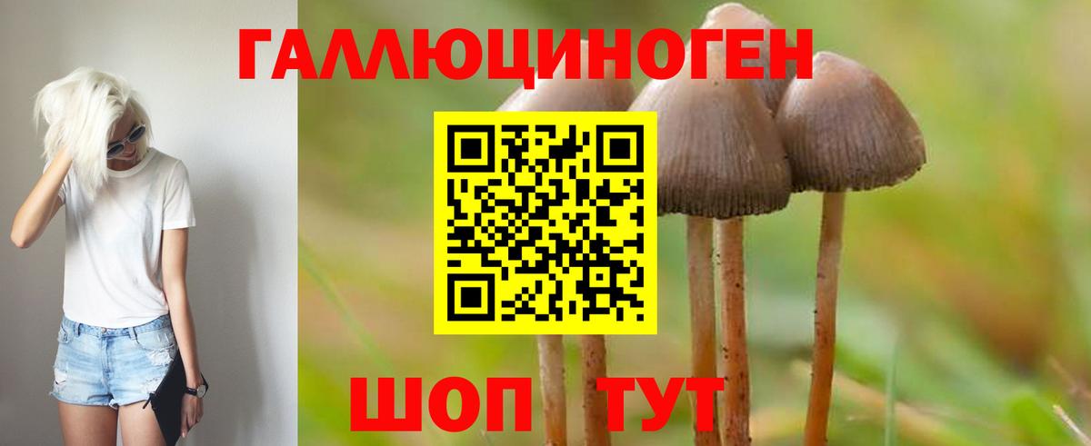 как найти   Псилоцибиновые грибы GOLDEN TEACHER  Подольск  Вход с VPN  Галлюциногенные грибы мухоморы 